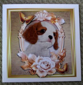 Cats & Dogs - beautiful-king-charles-with-cream-gold-roses